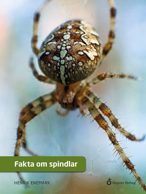 cover image of Fakta om spindlar